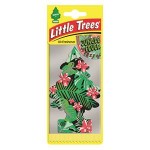 Little Trees Orman Ateşi Fresh Oto Kokusu