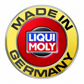 Liqui Moly 1502 Araç Cam Tamir Kiti 310 ml. 6139 